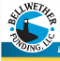 Bellwether Funding Logo